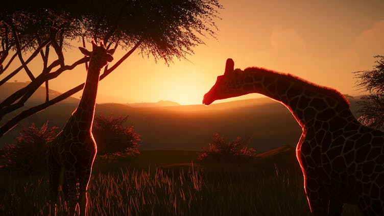 Planet Zoo